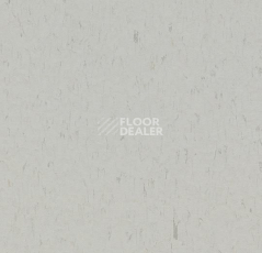 Линолеум Forbo Marmoleum Solid Piano 3629-362935 frosty grey фото 1 | FLOORDEALER